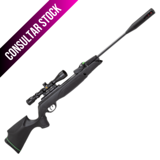 Gamo Swarm Magnum Pro 10X Gen 3I Cal. 5,5/10 Tiros
